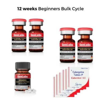 12 WEEKS BEGINNERS BULK CYCLE